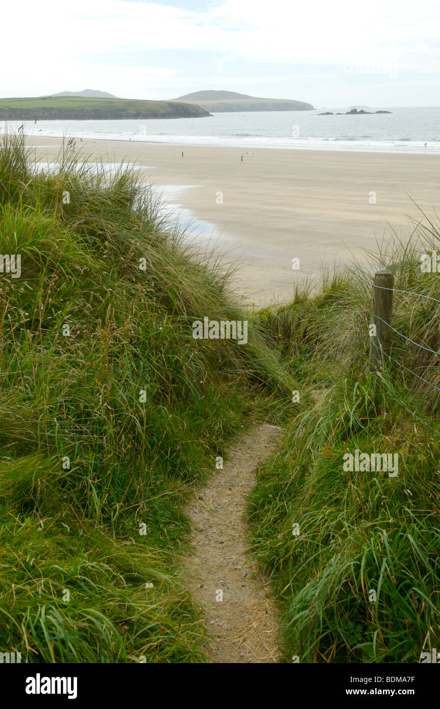 Pembrokeshire Küstenweg Whitesands Bay. Stockfoto