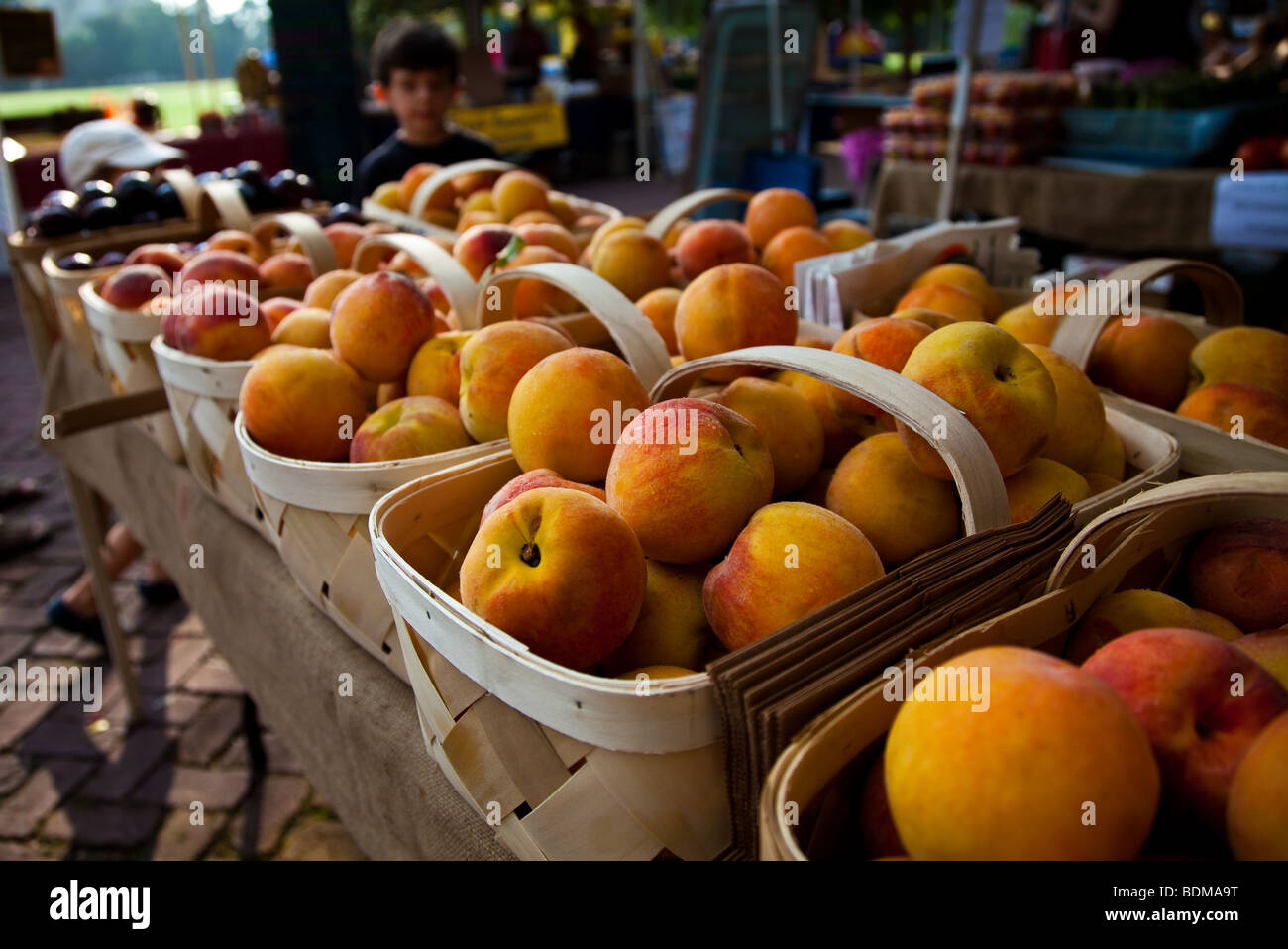 Frische Pfirsiche von South Carolina auf eine organische lokaler produzieren Bauernmarkt in Marion Square in Charleston, South Carolina Stockfoto