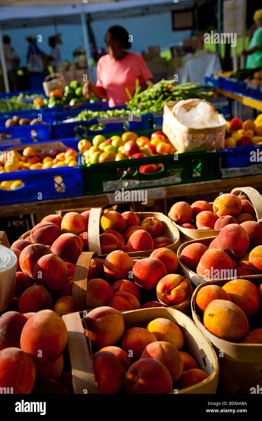 Ein Frauen-Geschäfte an einem organischen lokalen produzieren Bauernmarkt in Marion Square in Charleston, South Carolina. Stockfoto