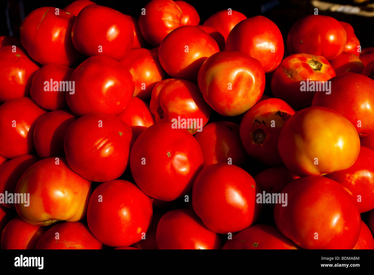 South Carolina Tomaten auf einer organischen lokaler produzieren Bauernmarkt in Marion Square in Charleston, South Carolina Stockfoto