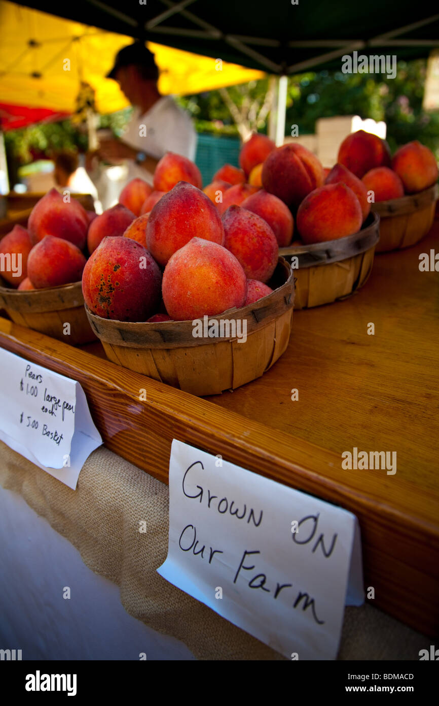 Frische Pfirsiche von South Carolina auf eine organische lokaler produzieren Bauernmarkt in Marion Square in Charleston, South Carolina. Stockfoto