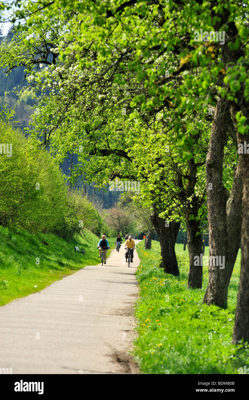 Zyklus Weg und Fußweg entlang der Kinzig Fluss, Hausach, Schwarzwald, Baden-Württemberg, Deutschland, Europa Stockfoto