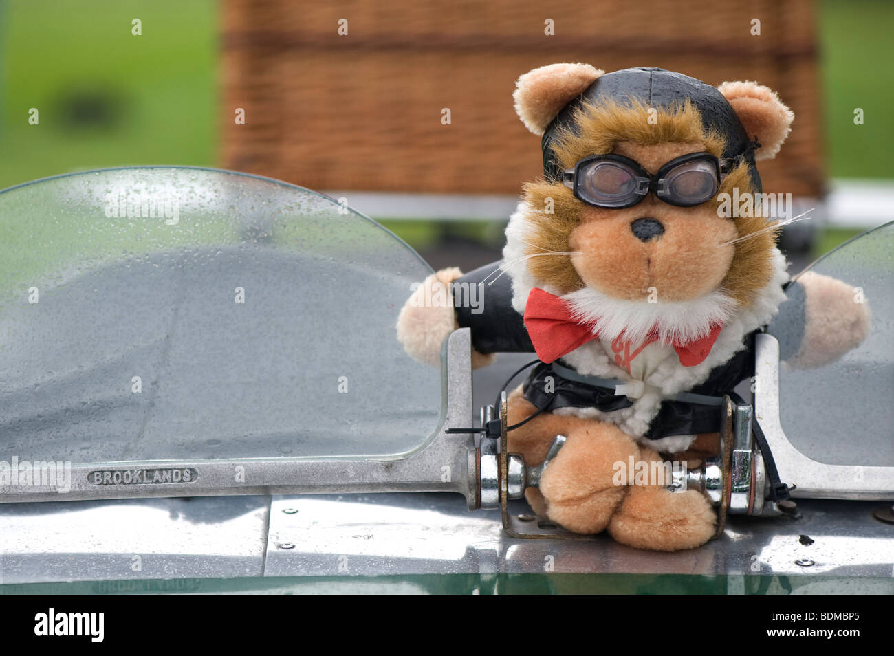 Teddybär Oldtimer-Maskottchen mit Hut und Brille fliegen Stockfoto