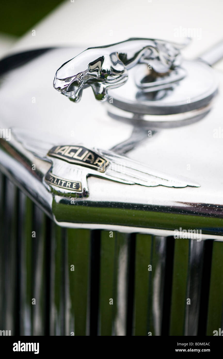 Jaguar Mk V 3,5 Liter Limousine. Springende Jaguar Maskottchen und Logo, britische Oldtimer Stockfoto
