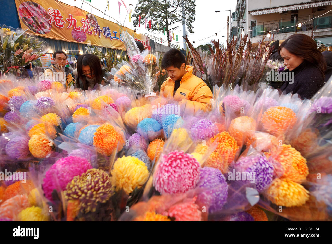 Blumen vorbereiten zum Verkauf in Flower Market Road in Mongkok, Hong Kong, über das chinesische Neujahr. Stockfoto