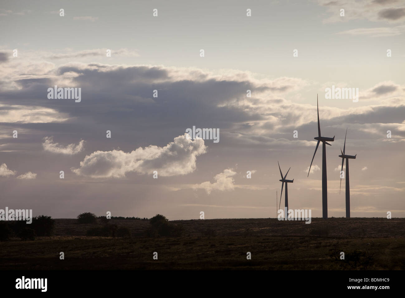 Schwarzes Gesetz-Windpark in der Nähe von Carluke in Schottland, Großbritannien. Als es gebaut wurde, war es der größte Windpark in Großbritannien mit 54 Turbinen Stockfoto