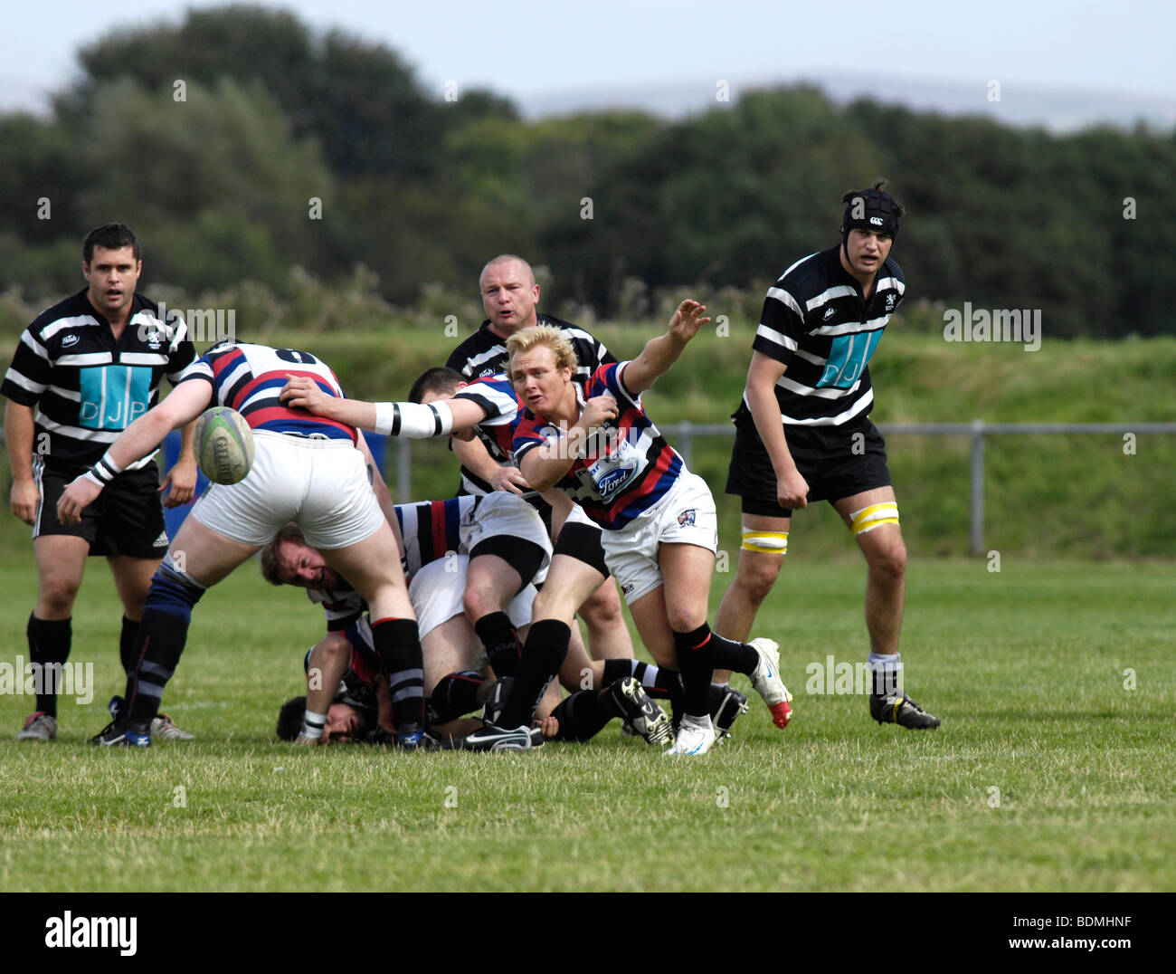 Scrum-Hälfte Pässe Stockfoto
