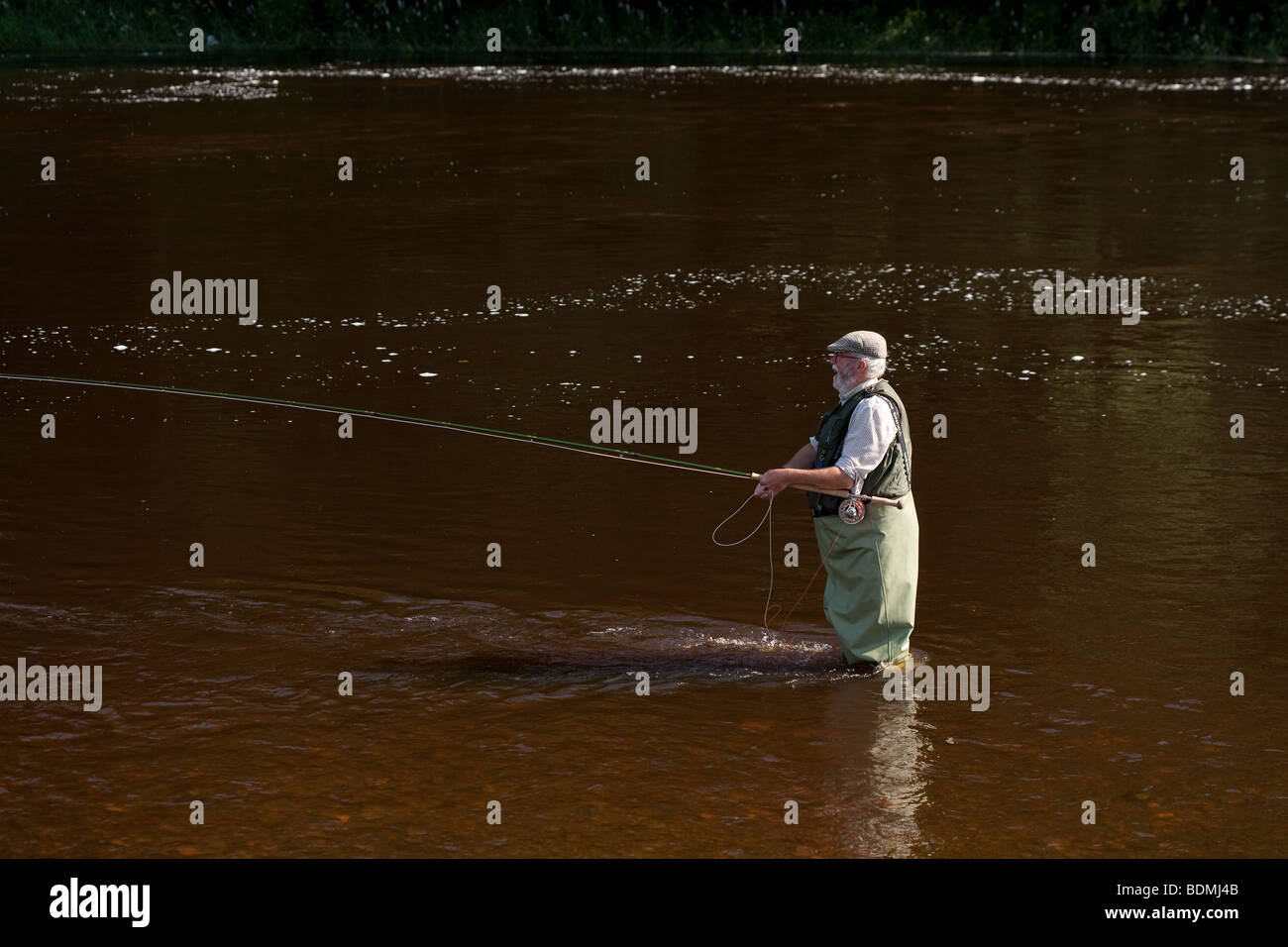 Fliegenfischen-Fluss, casting Stockfoto