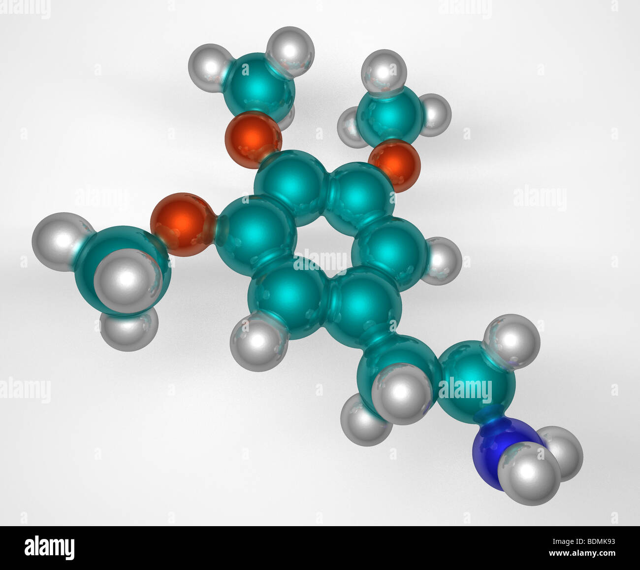 computergenerierte, dreidimensionale raumfüllende Molekülmodell von Meskalin Stockfoto