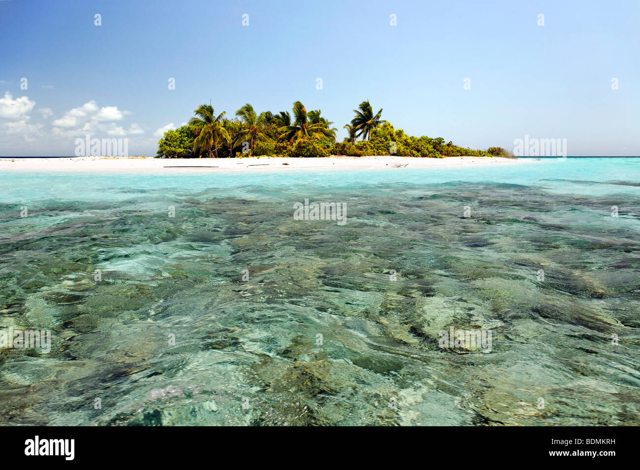 Menschenleeren Insel, Malediven Insel, Lagune, Korallen, Palmen, Strand, türkisfarbenes Wasser, Süd Male Atoll, Malediven, Schären, Stockfoto