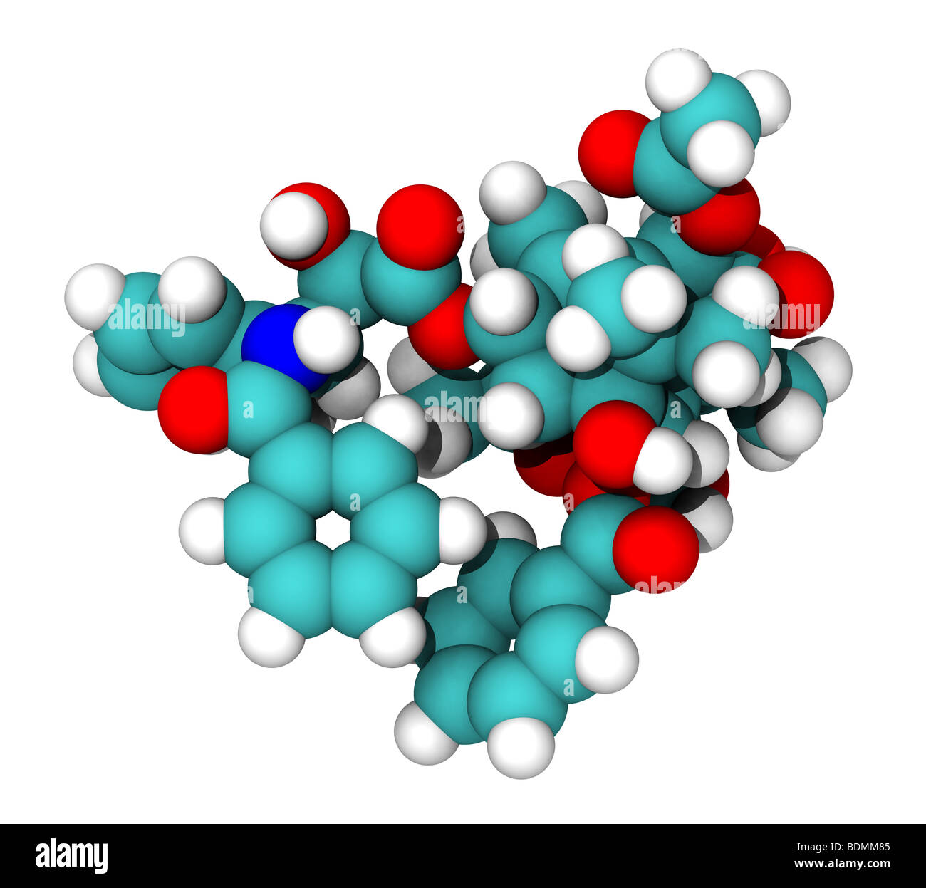 dreidimensionale computergenerierte Molekülmodell von der Krebs-Chemotherapie-Medikament taxol Stockfoto