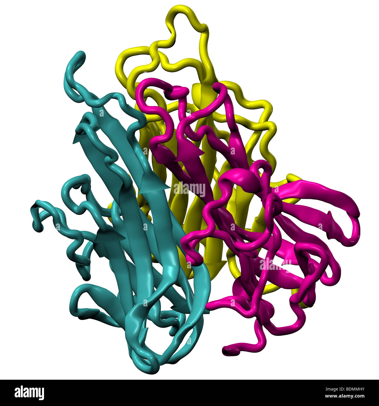 3-dimensionale Computer generierte molekulares Modell des Tumor-Nekrose-Faktor Stockfoto