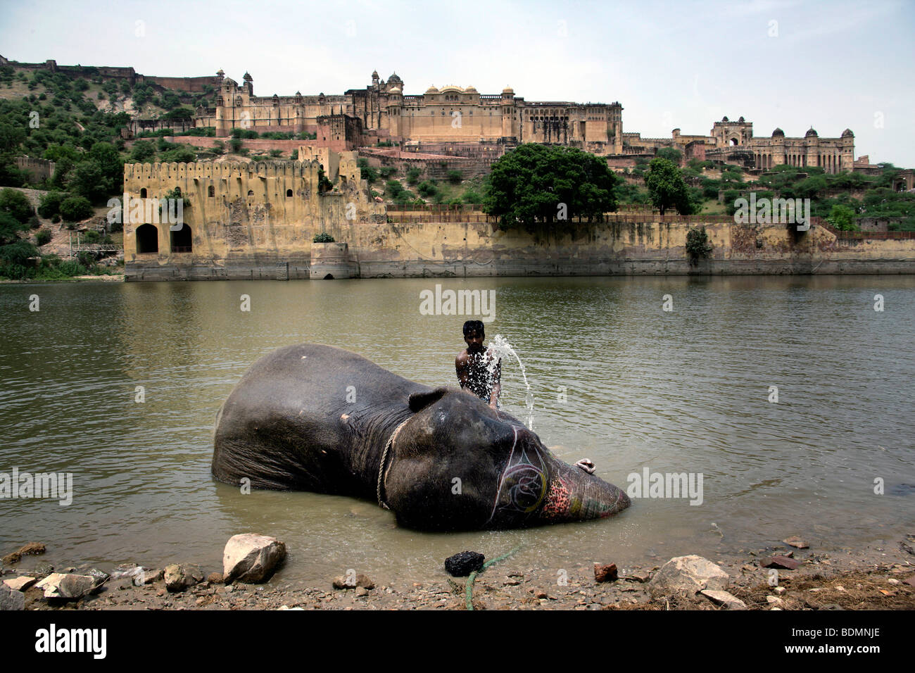 Indischer Elefant Reiseführer wäscht seine Elefanten in einem See unterhalb der 16. Jahrhundert Festung Fort Amber, Rajasthan, Indien Stockfoto