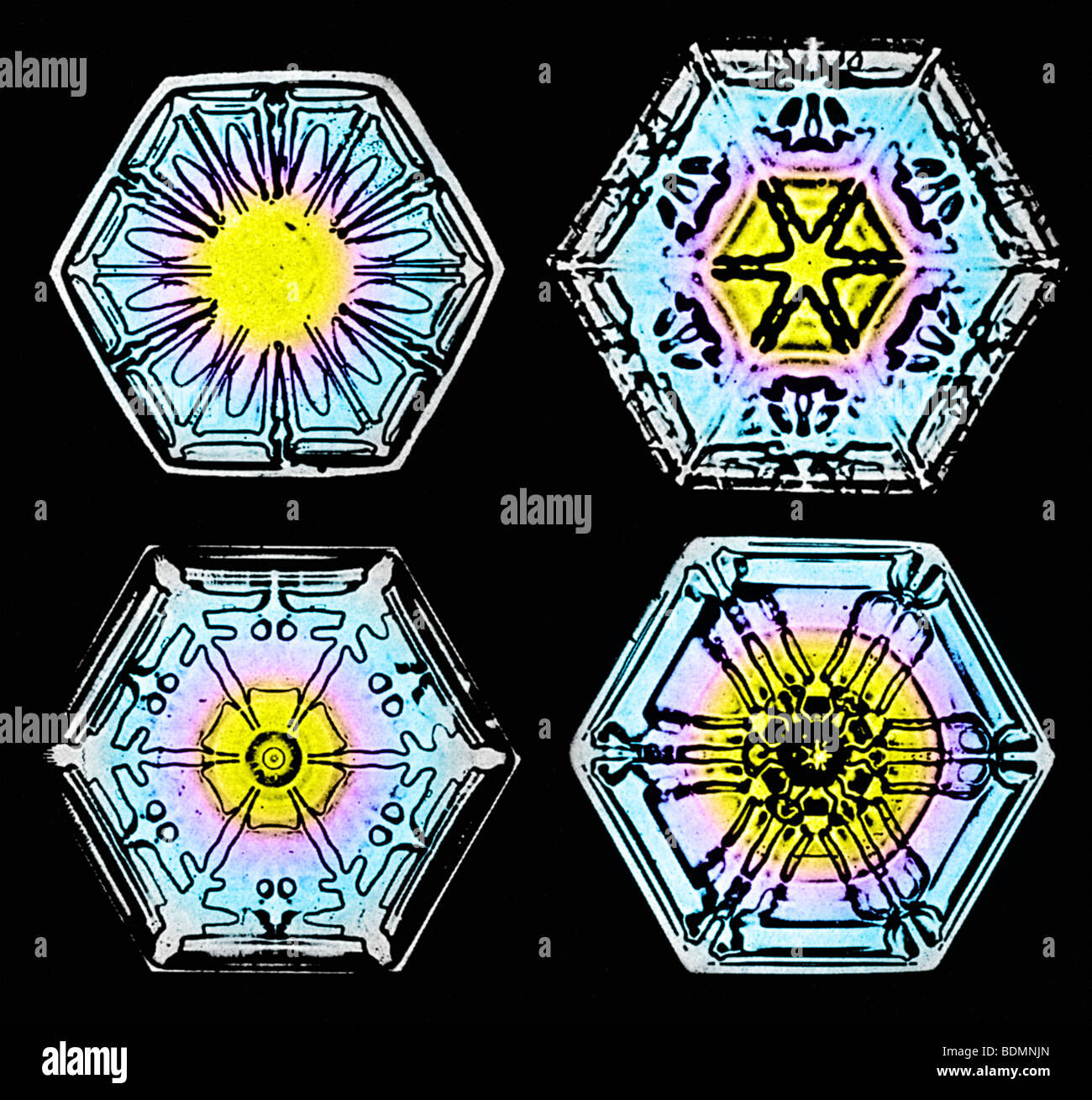 Schneeflocken, fotografiert von Wilson Bentley in der Zeit um 1900 Stockfoto