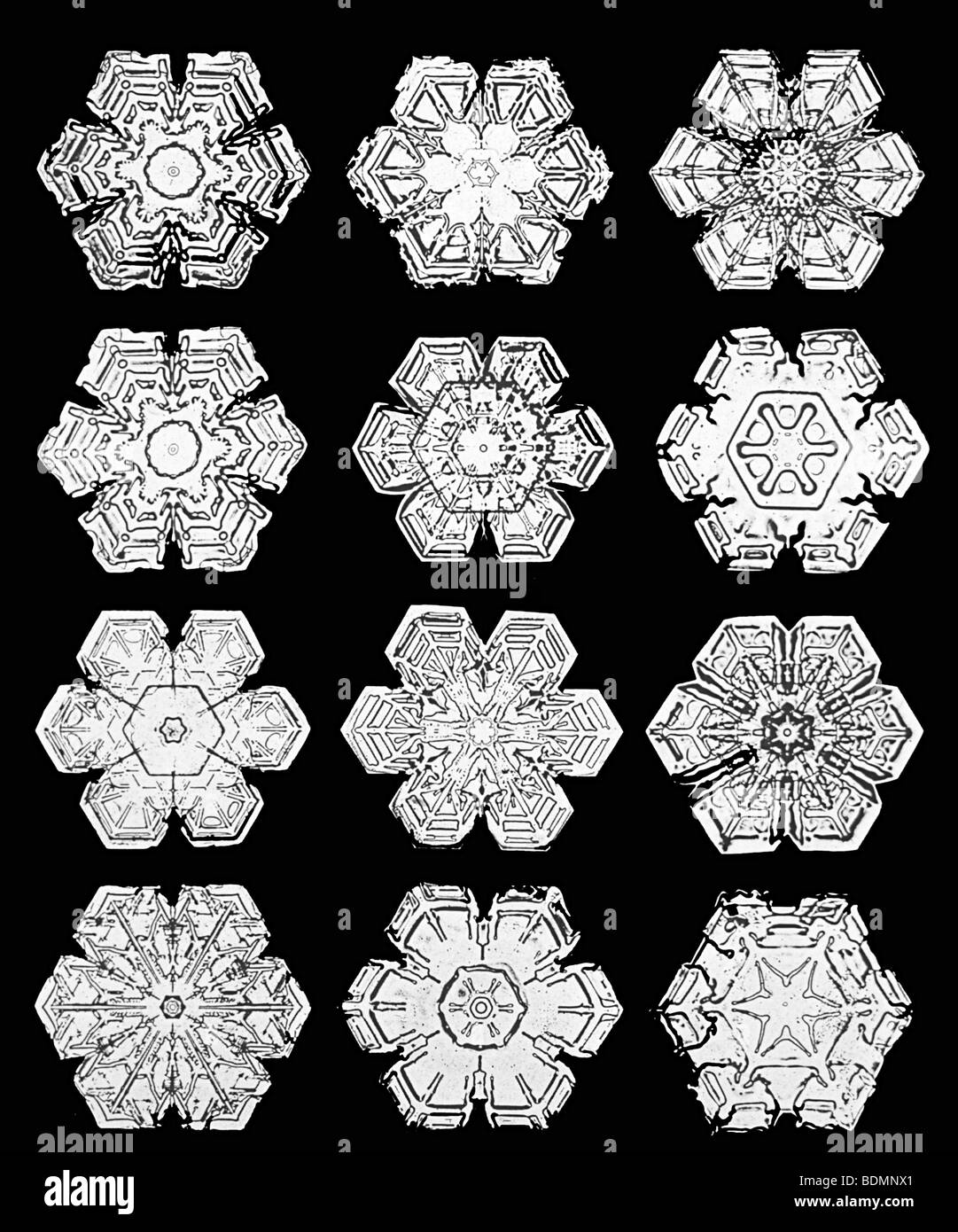 Schneeflocken, fotografiert von Wilson Bentley in der Zeit um 1900 Stockfoto