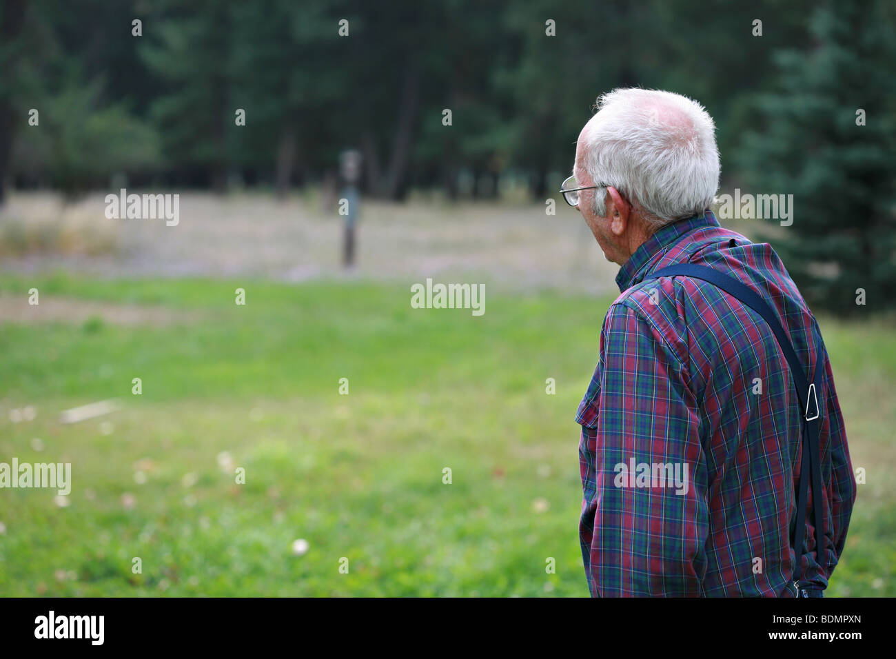 Älterer Mann sucht aus, viel Platz für Textfreiraum. Stockfoto