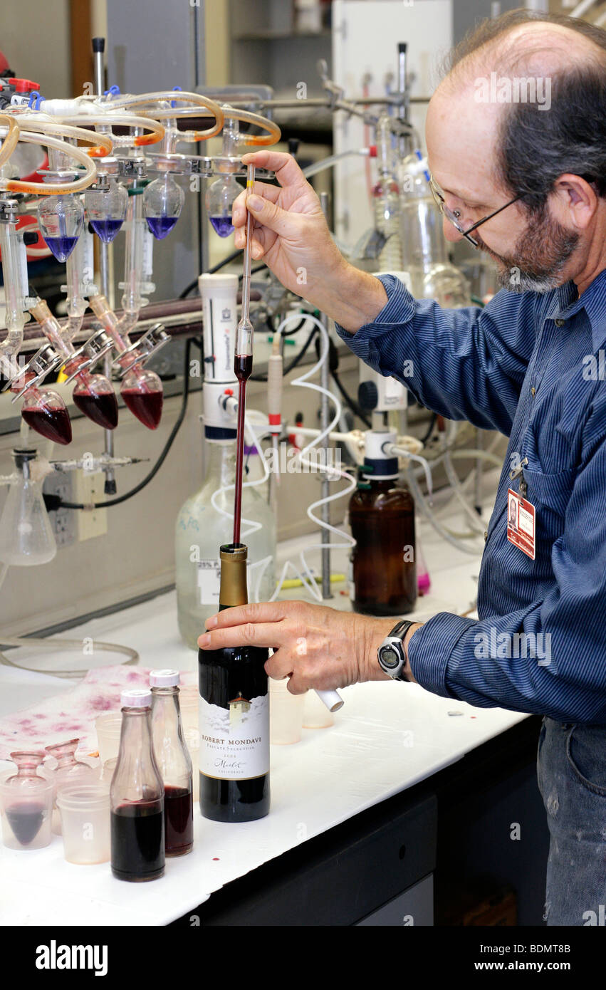 Großen Weinkeller auf hohem Niveau, Laborproben garantieren ein hohes Maß an Kontinuität in der Qualität, Woodbridge in der Nähe von Lo Stockfoto