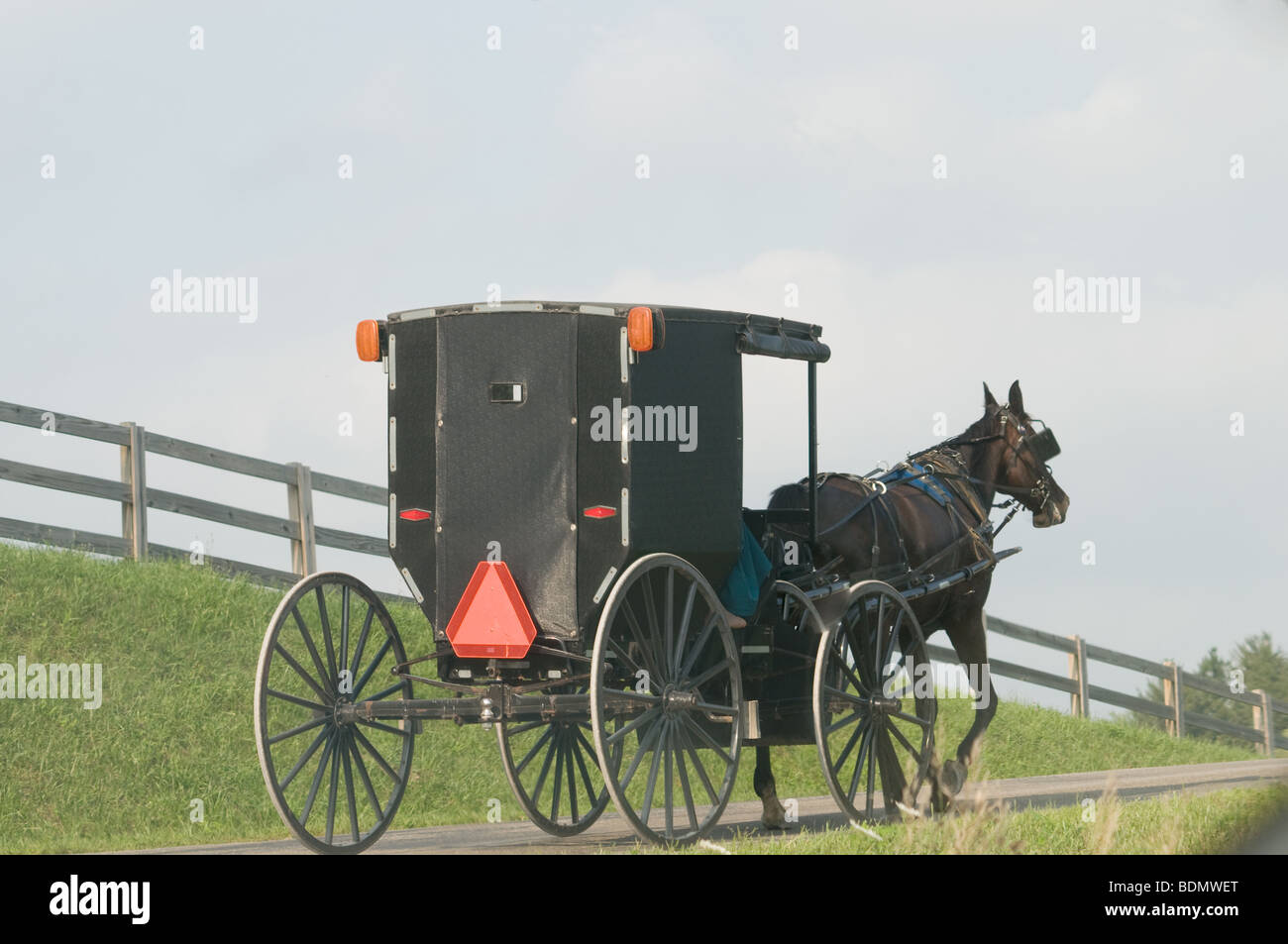 Amish-Buggy in der Nähe von Fredericktown, Ohio Stockfoto