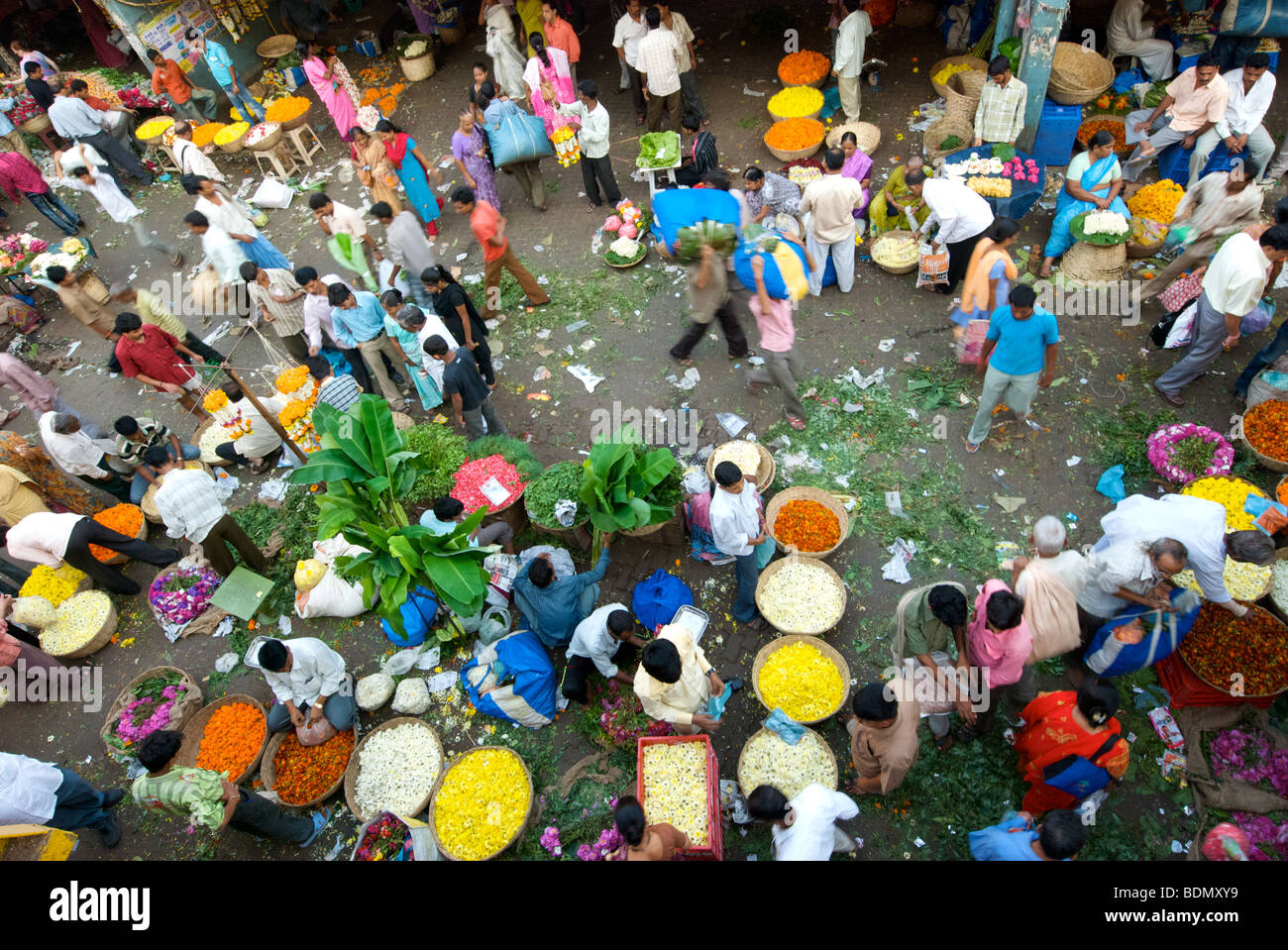 Ringelblume Verkäufer an der ersten Ampel in Dadar Blumenmarkt, Mumbai, Indien Stockfoto
