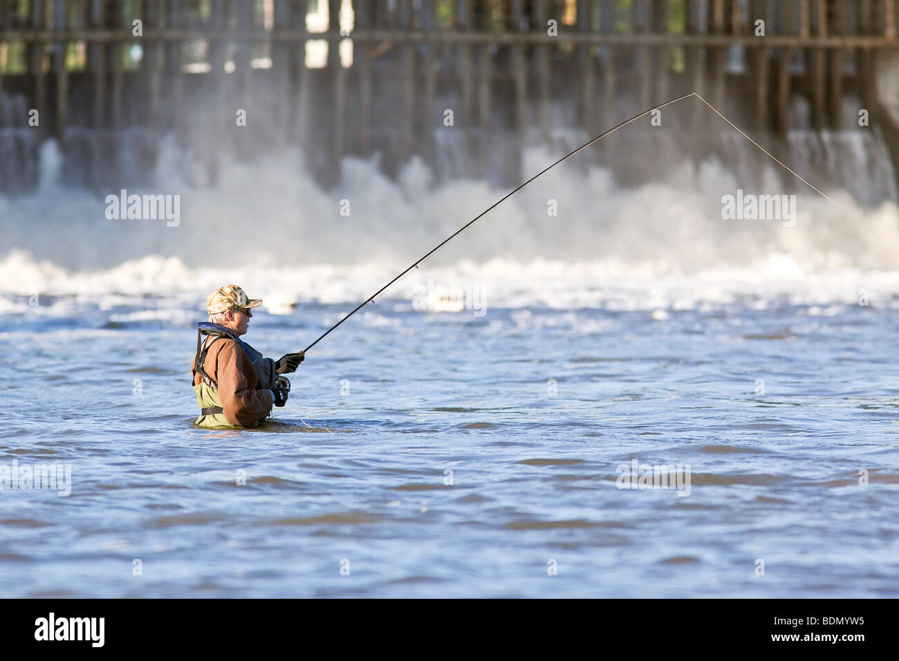 Mann-Fliegenfischen in den Red River flussabwärts von Lockport Dam, Lockport, Manitoba, Kanada. Stockfoto