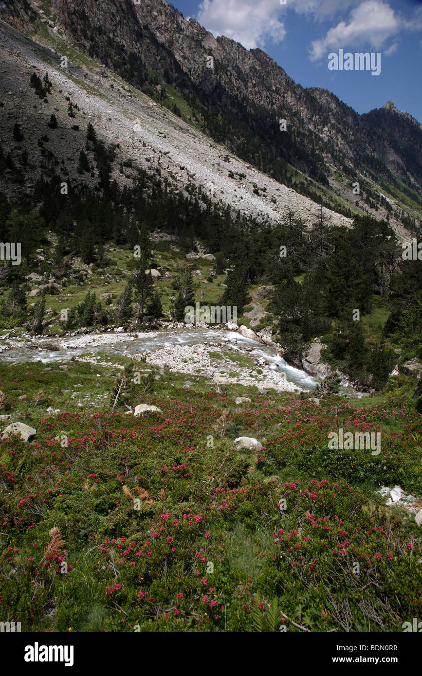 Das Tal über den Port d ' Espagne in Le Parc National Des Pyrenäen in Frankreich Stockfoto