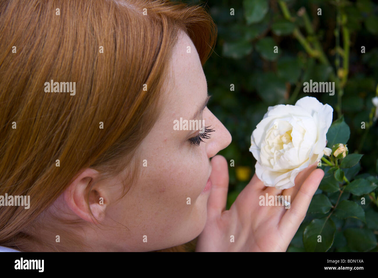 Junge Frau mit Rosenblüte Stockfoto