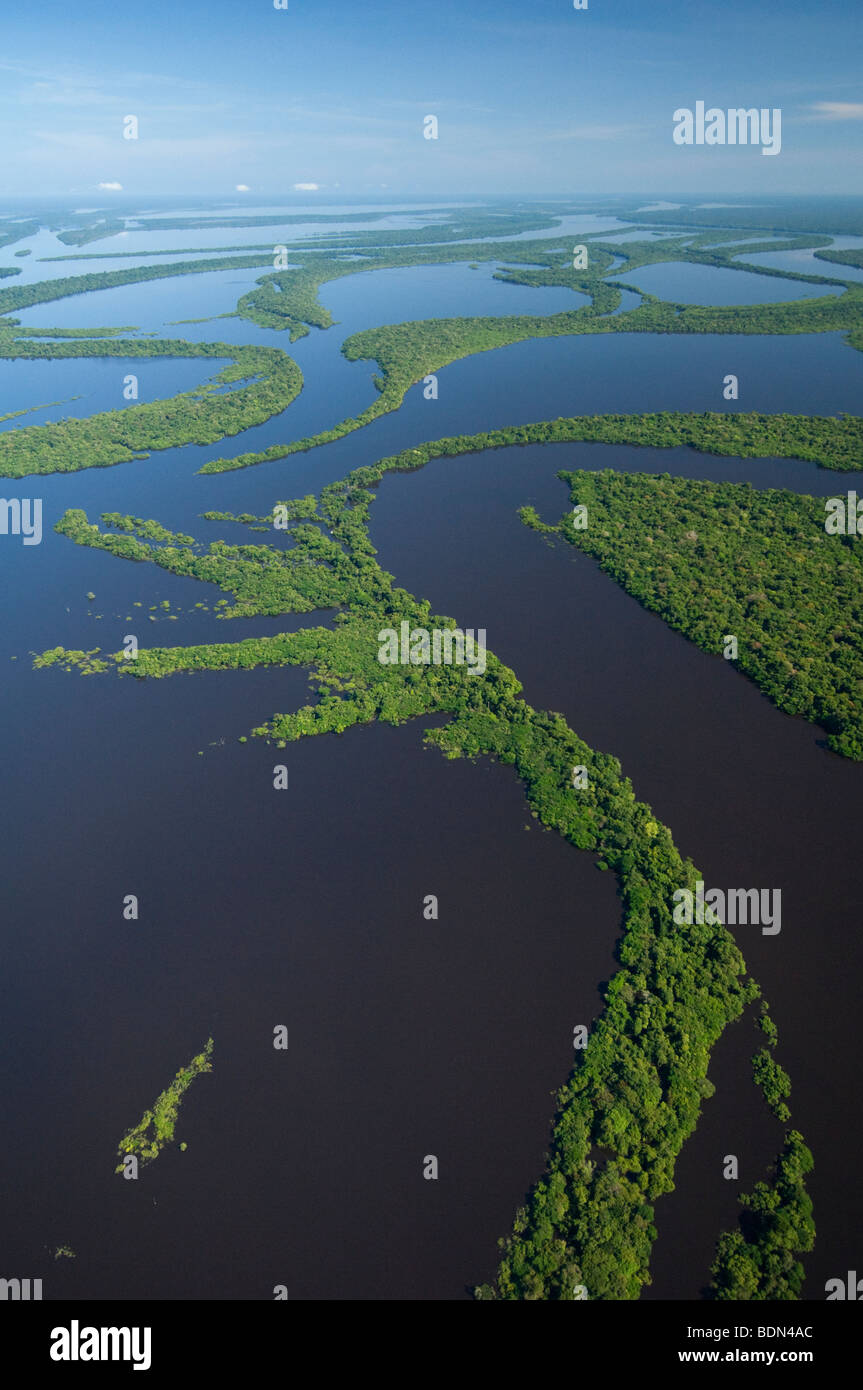 Überflutete Wald, Anavilhanas Archipel, Rio Negro, Amazonas, Brasilien Antenne Stockfoto
