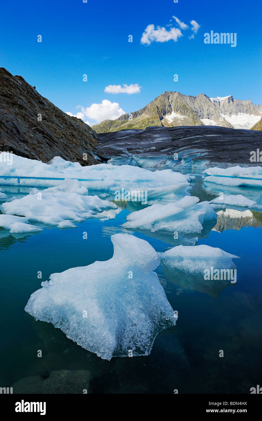 Großen Aletschgletschers Gletscher mit Eisschollen im Vordergrund, Goms, Wallis, Schweiz, Europa Stockfoto