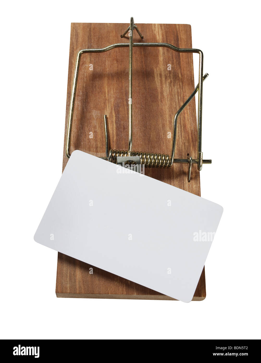 Mausefalle mit leeren Karte Stockfoto