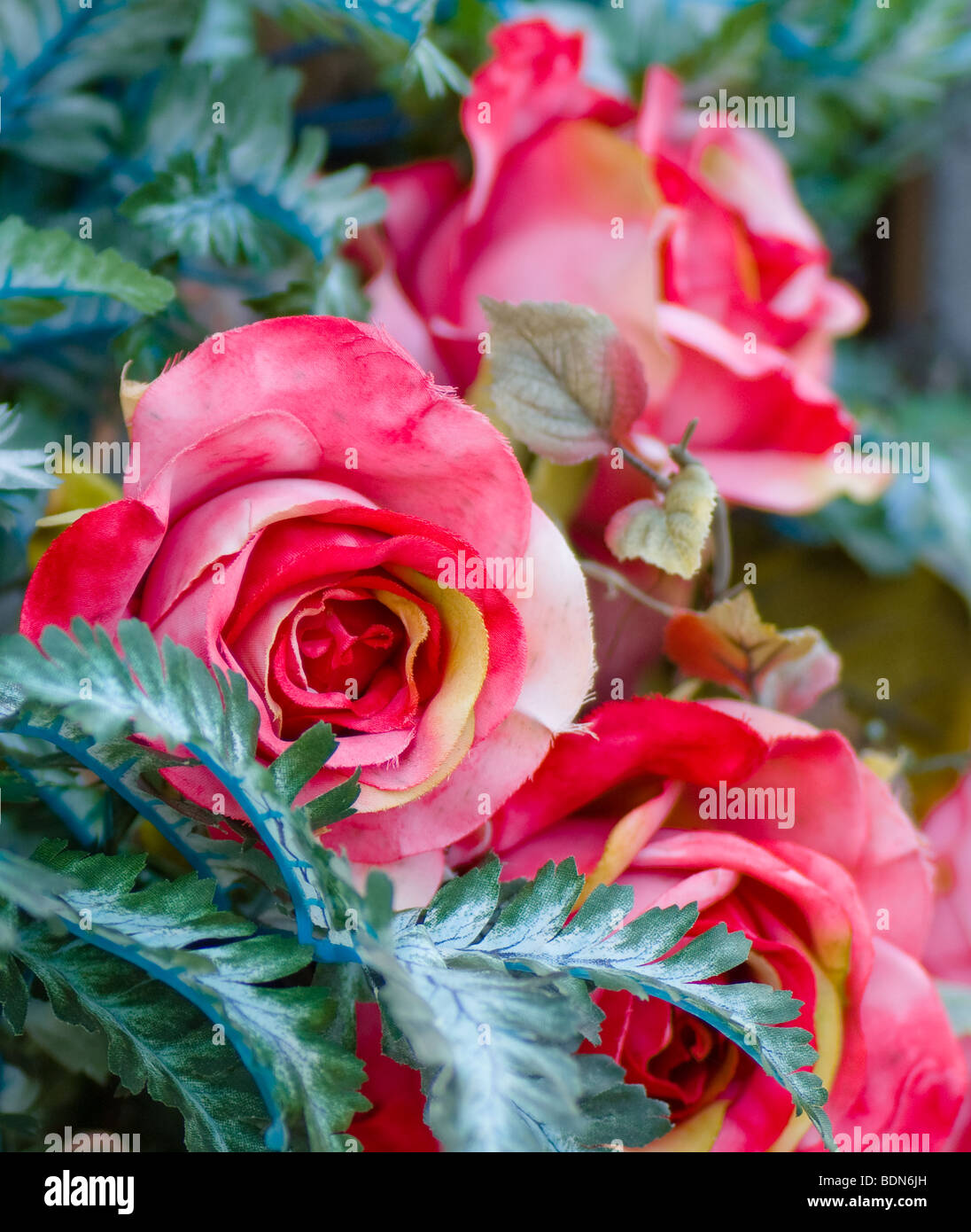 Rosen in einem Strauß auf einem Friedhof Stockfoto