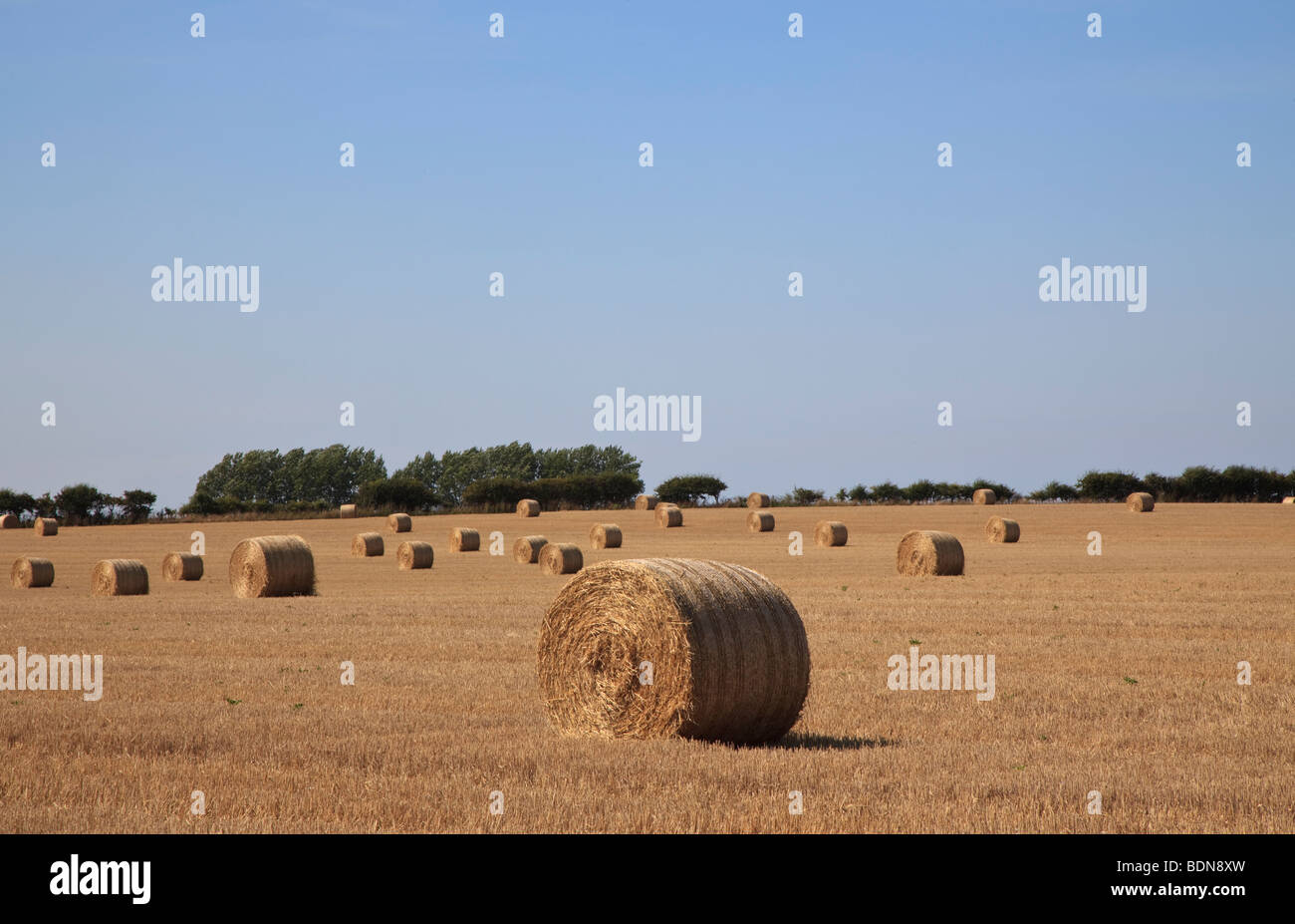Strohballen in einem Feld von kürzlich geernteten Weizen in North Norfolk, England Stockfoto