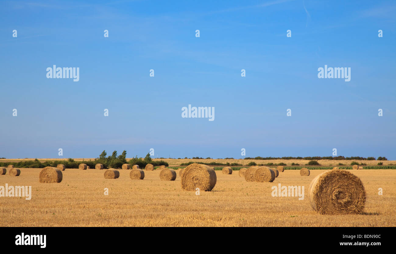 Strohballen in einem Feld von kürzlich geernteten Weizen in North Norfolk, England Stockfoto