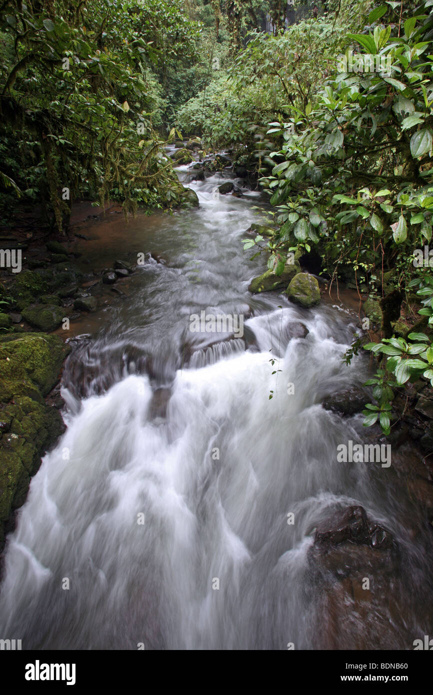 Rio La Paz, Heredia, Costa Rica, Mittelamerika Stockfoto