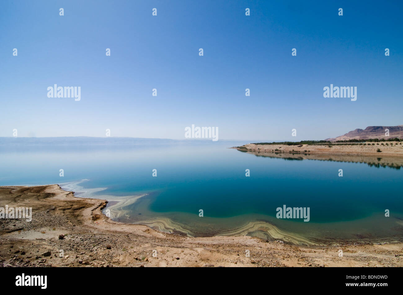 Mineralische Ablagerungen Klingeln der Ostküste des Toten Meeres in Jordanien. Stockfoto