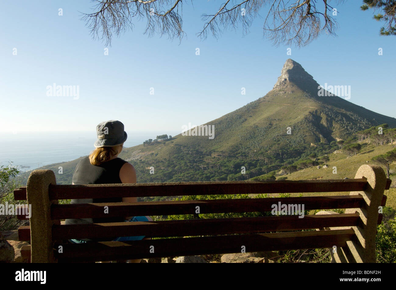 Touristen auf der Suche auf den Lions Head, Rohr-Trial, Table Mountain National Park, Kapstadt, Westkap, Südafrika Stockfoto
