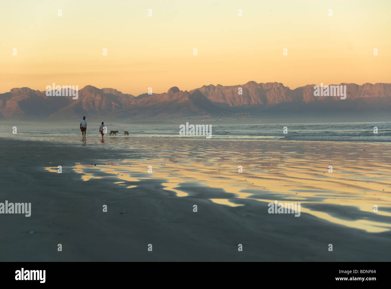 Zwei Frauen gehen Hunde am Strand, mit den Hottentotten Holland Bergen im Hintergrund, Muizenberg Stockfoto