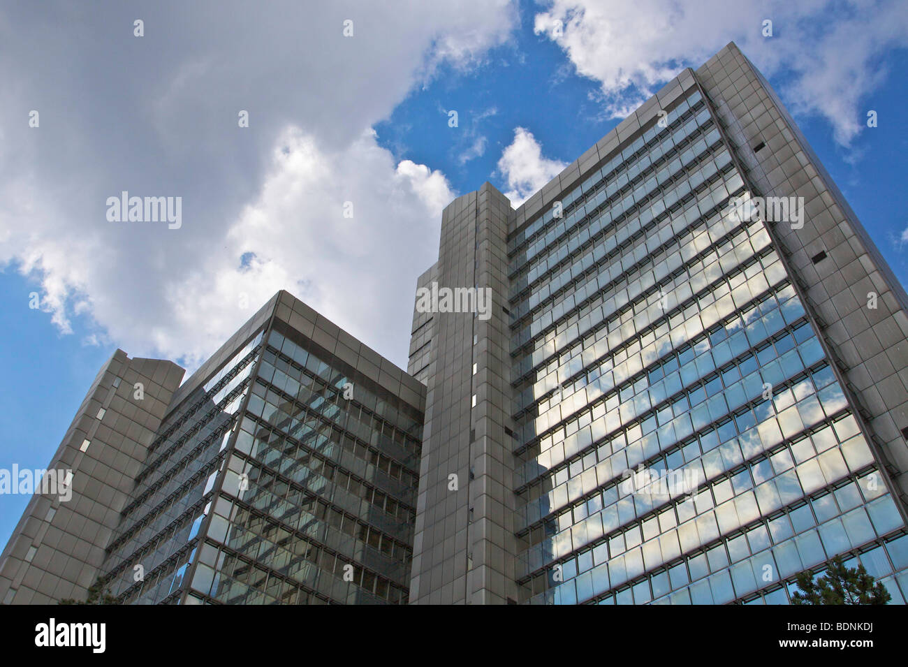 Stadthaus, Rathaus, Stadtverwaltung, Bau, Bonn, Nordrhein-Westfalen, Deutschland, Europa Stockfoto