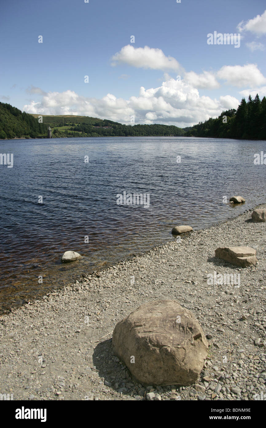 Bereich der Lake Vyrnwy, Wales. Gesamtansicht der Lake Vyrnwy mit dem Straining Turm im fernen Hintergrund. Stockfoto