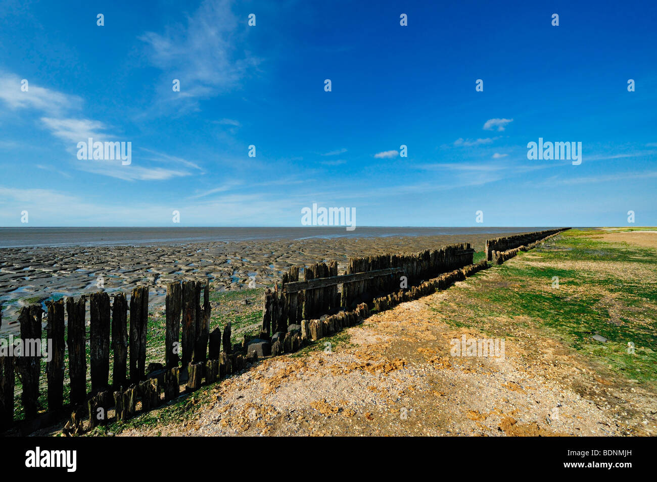 Das Wattenmeer in Moddergat, Niederlande Stockfoto