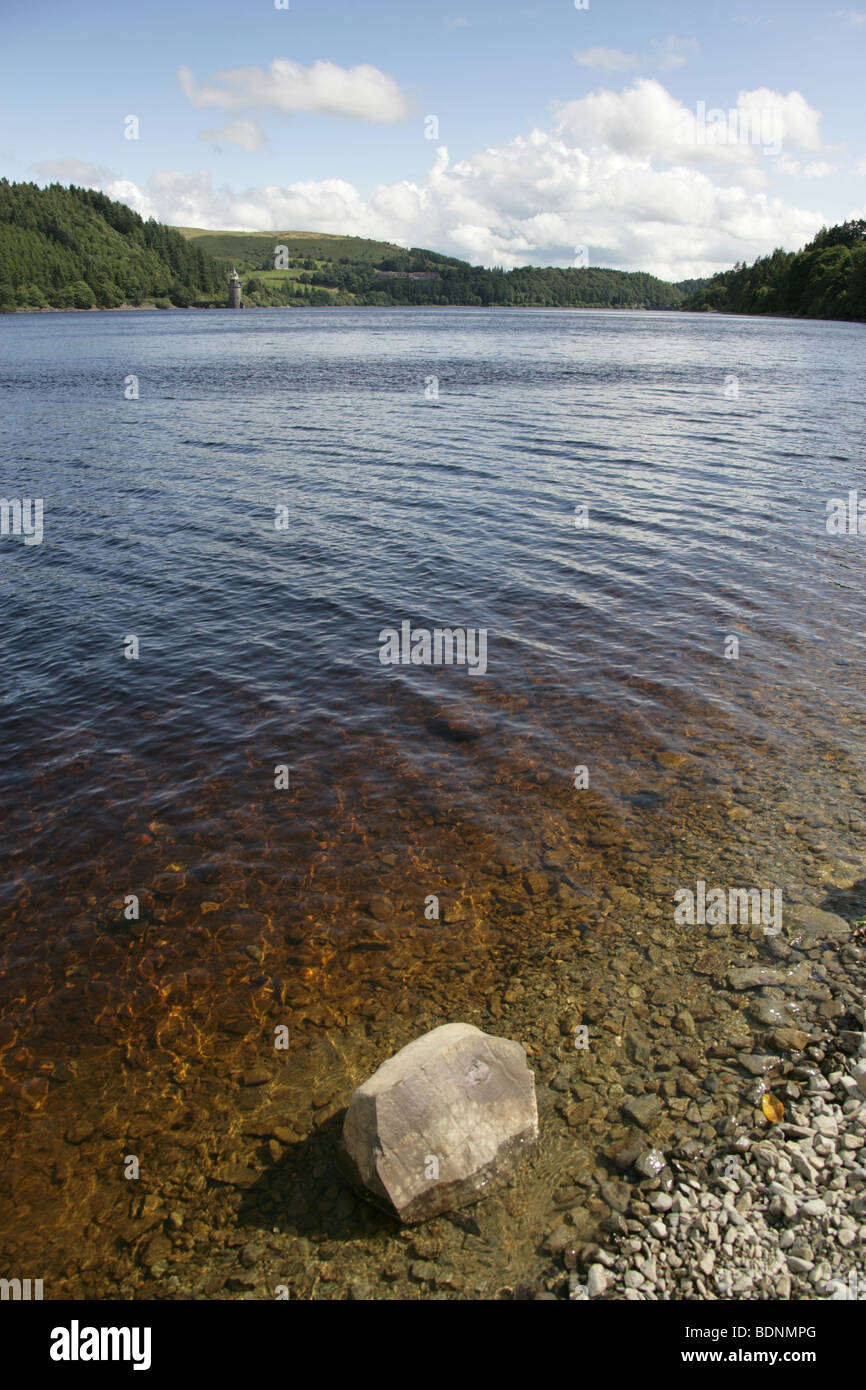 Bereich der Lake Vyrnwy, Wales. Gesamtansicht der Lake Vyrnwy mit dem Straining Turm im fernen Hintergrund. Stockfoto