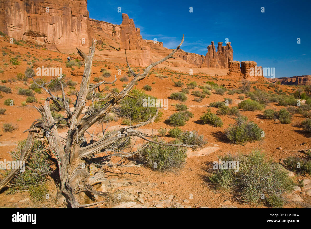 CourthouseTowers Formationen im Arches-Nationalpark, Moab, Utah, USA Stockfoto