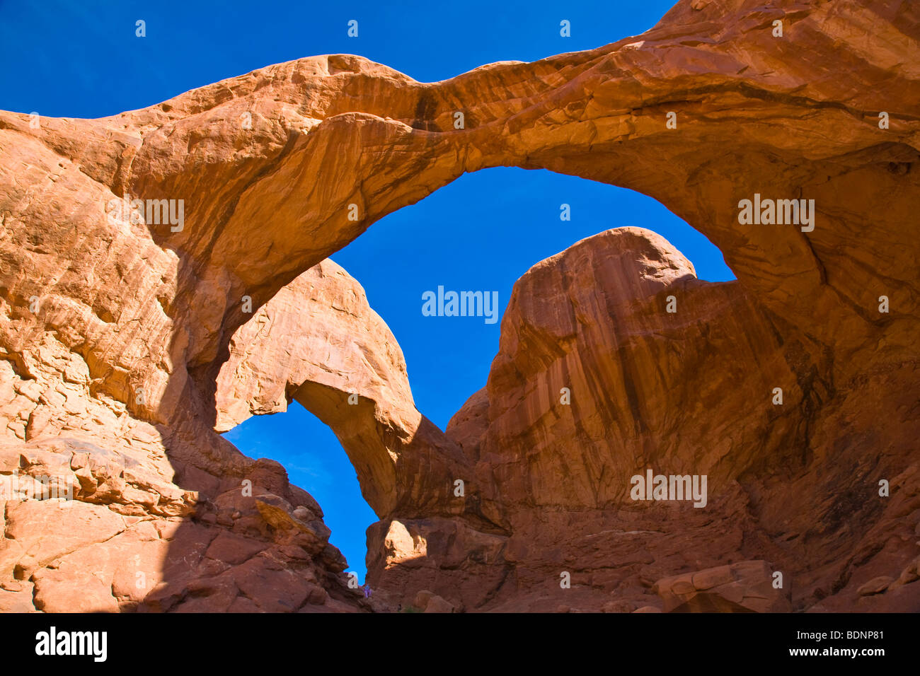 Doppelbogen, Arches-Nationalpark, Moab, Utah, Vereinigte Staaten von Amerika Stockfoto