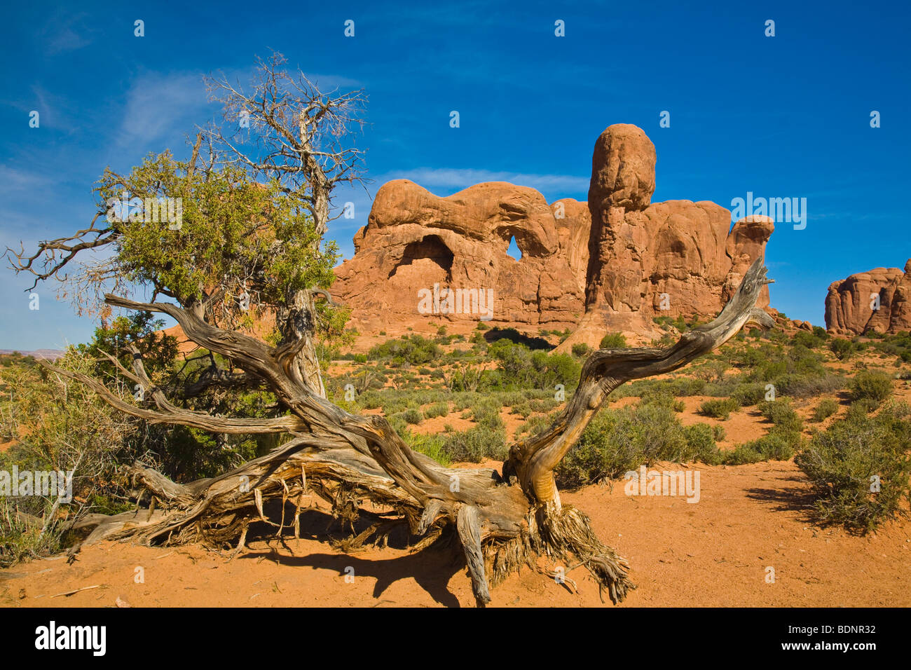 Sandstein-Formationen im Arches-Nationalpark, Moab, Utah, USA Stockfoto