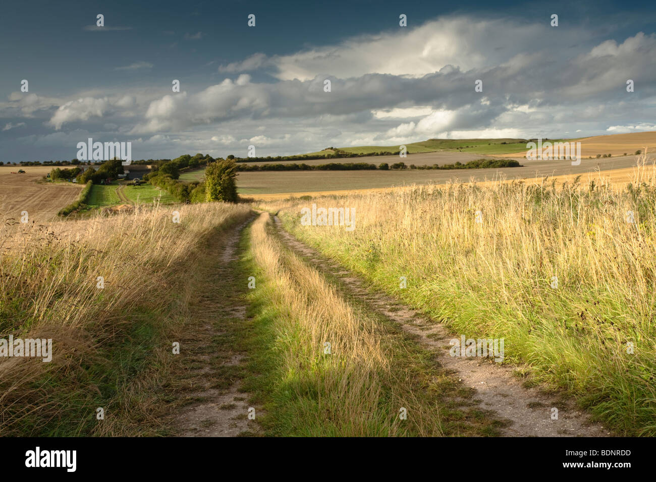 Blick in Richtung White Horse Hill bei Uffington, Oxfordshire, Vereinigtes Königreich Stockfoto