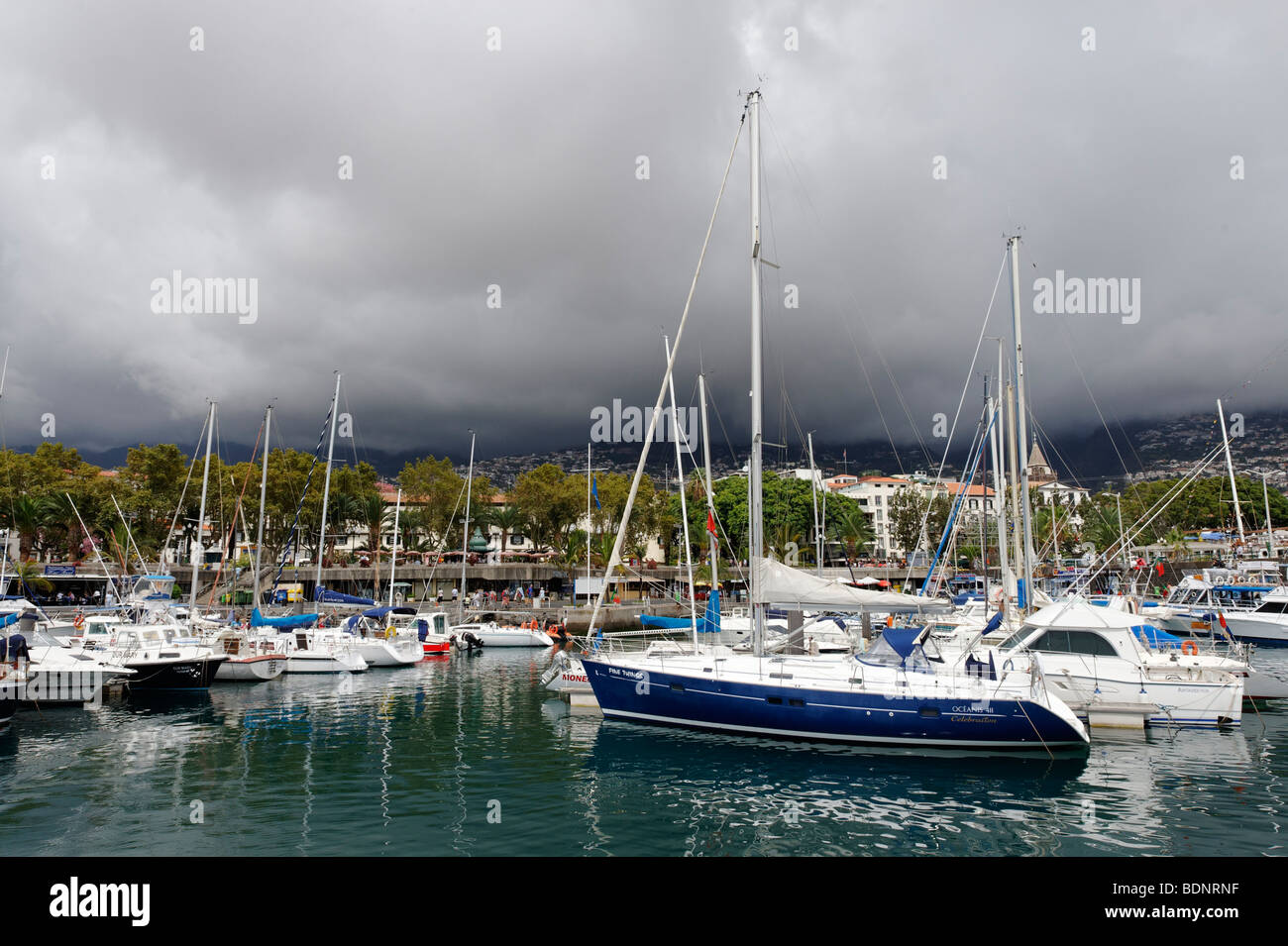 Segelboote im Hafen von Funchal, Madeira, Portugal, Europa Stockfoto