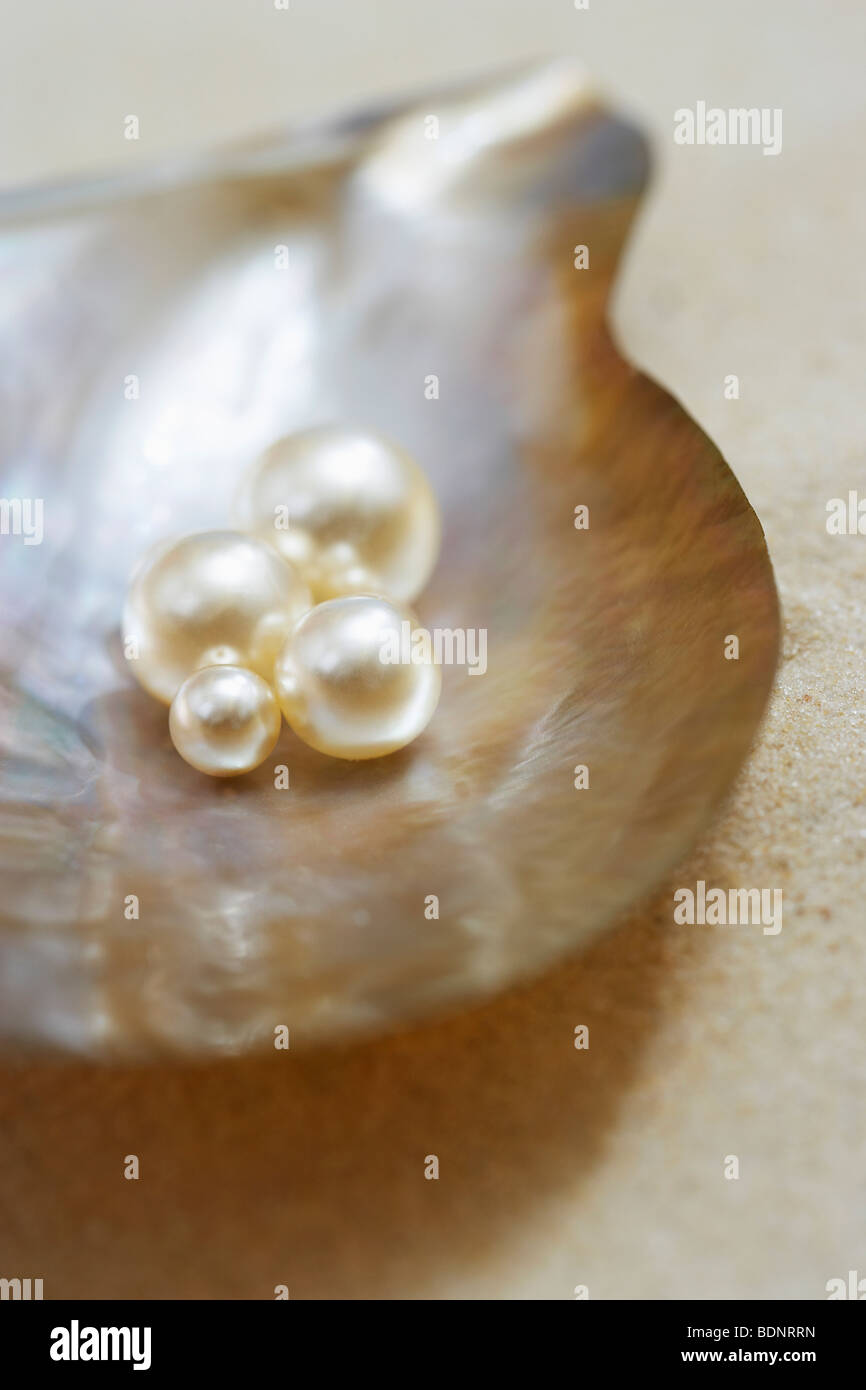 Vier Perlen in offenen Austernschale am Strand, Nahaufnahme, erhöht, Ansicht Stockfoto