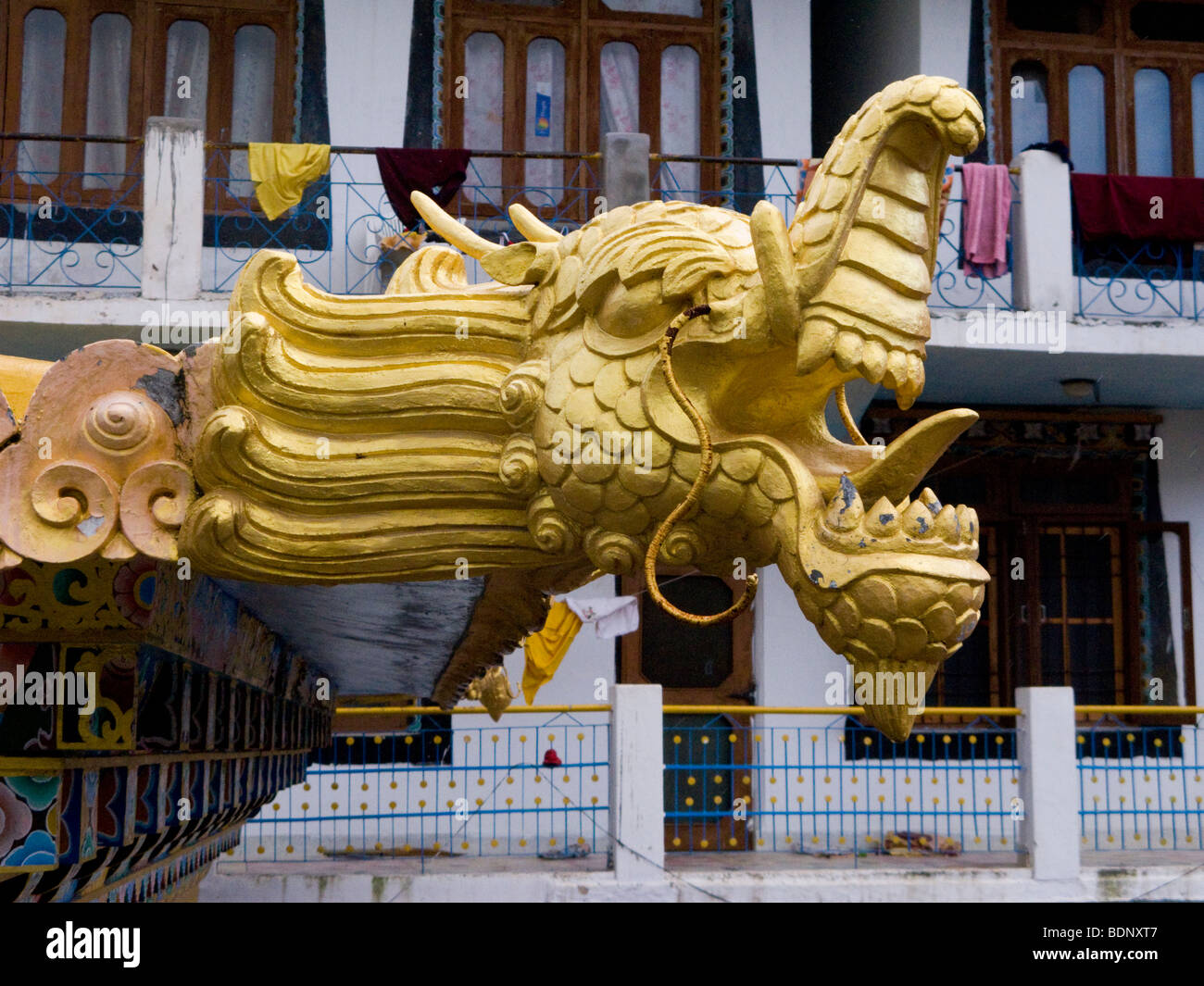 Dekorativen Drachenkopf am Eingangstor des Instituts Zigar Drukpa Kargyud. Rewalsar. Himachal Pradesh. Indien. Stockfoto