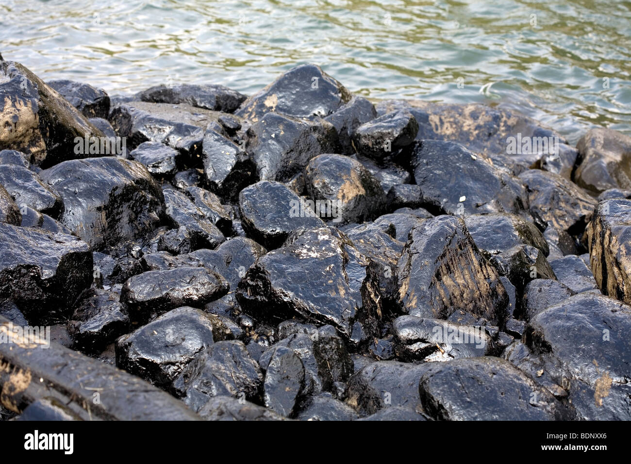 Geölte Felsbrocken am Rande eines Amazonas Flusses nach einer Ölpest Stockfoto