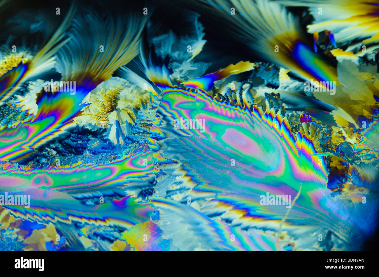 Polarisiertes Licht auf ein Einfrieren Eiskristall gebannt Stockfoto