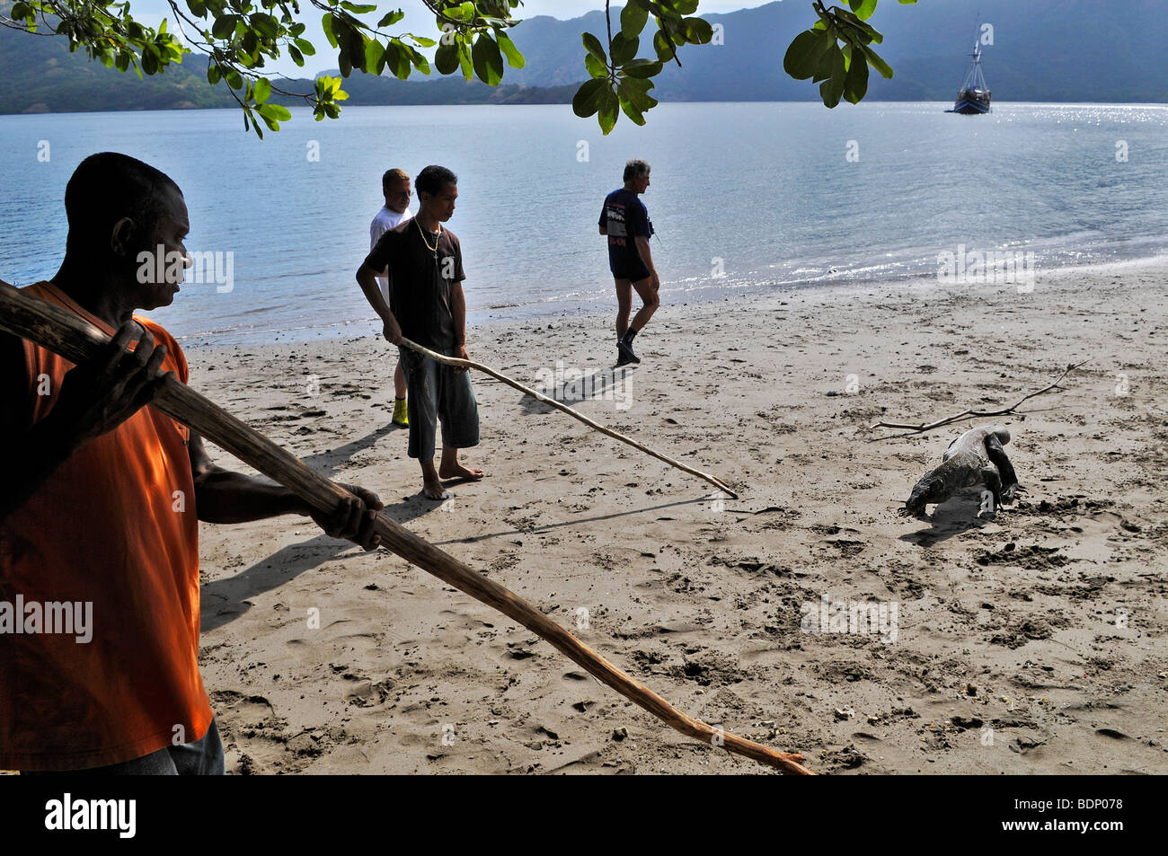 Komodo-Waran (Varanus Komodoensis), Insel Rinca, Komodo National Park, Indonesien, Südostasien Stockfoto